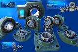 Pillow Block Bearings (UC)