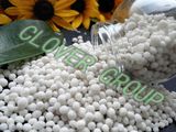 Nitrogen Fertilizer Calcium Nitrate (PURITY: 99%)