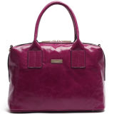 New Fashion Desinger Satchel Wholesale Handbag (YH108-A4097)