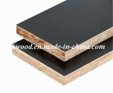 Film Faced OSB (Oriented Strand Board) for Construction