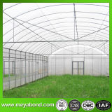 Plastic Insect Nets/Greenhouse Anti Insect Net for Agriculture