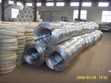 Electrical Wire/Electro Galvanized Iron Wire (XM-11)