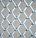 Diammond Wire Mesh