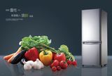 Double Door 138L Saving Energy 12V/24V Solar Refrigerator