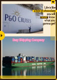 Profession Cargo Service for LCL/FCL/Consolidation From China to UK Shipping