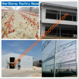 Prefab Poultry House Construction