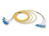 Sc Multifiber Cable Assemblies