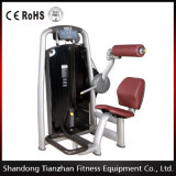 Gymnasium Fitness Equipment Commercial Back Extension TZ-6006 Gym Equipment