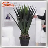 Plastic Product Agave Sisalana Artificial Bonsai Plants