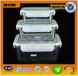 Mircrowave and Oven Safe Pyrex Glass Airtight Food Containers (LW-B1101)