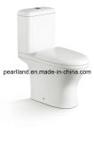 Chaozhou Washdown One Piece Toilet Sink (CE-T2207B)