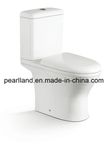 Chaozhou Washdown One Piece Toilet Sink (CE-T2207B)