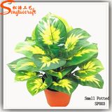 China Mamufacturer Artificial Bonsai Plants for Decoration