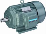 Electric Motor (Y series three phase motor)