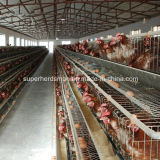 Poultry Feeding Equipment Battery Cage for Layers