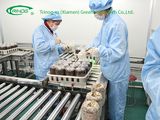 Mushroom Farm