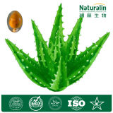 Natural Aloe Vera Extract, Aloe Barbadensis Mill, Aloin10%-40%, Personal Care Products Supplements