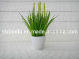 Artificial Plastic Grass Bonsai (XD13-93)