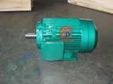 EFF2 Three Phase Electric Motor