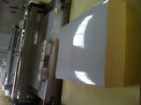 Self Adhesive Glassine Paper (WBL-G183)