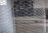 Competitive Price Hexagonal Wire Netting