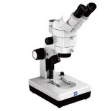 Trinocular Zoom Stereo Microscope (XTF-3021)