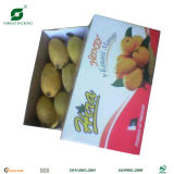 High Quanlity Corrugated Packaging Boxes for Mango (Fp901451)