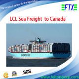 Sea Cargo From Shenzhen/Shanghai/Guangzhou to Vancouver Canada