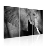 Elephant Canvas Art Modern Painting for Wall Decor