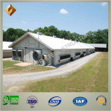 Turn Key Manufacture of Steel Structure Poultry House