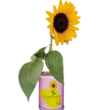Sunflower (IC-002)