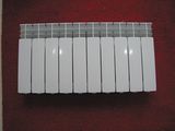 Aluminum Radiator (XF-007)