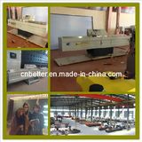 Butyl Coating Machine Gluing Glass Extruded Glass Butyl Machines