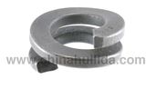 Spring Lock Washer (Double) 