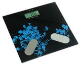 Multi-Function Body Scale