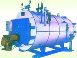 Oil Gas Fired Steam Boiler (WNS)