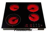 Professional Electric Cooker (SCP-048)