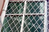 Razor Wire Mesh