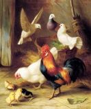 Painting(Chicken and Pigeon)