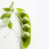 Reliable Supplier Pea Protein 80%