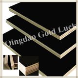 WBP Glue Black Film Faced Plywood 18*1220*2440mm