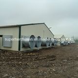 Light Steel Structure Chicken Shed