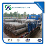 Stainless Steel Conveyor Belt & Chain Driven Belt