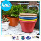 Biodegradable Tableware/Balcony Flower Pots/Plant Fiber Flower Pot