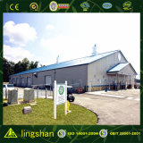 Lingshan Prefabricated Buildings with SGS Certification (L-S-019)