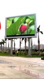 P8 Full Color LED Display/Outdoor Full Color LED Display