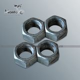 Steel Hex Nut (NUT002)