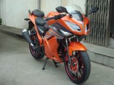 New Racing Motorcycle Jd250-31 (GT)