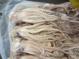 Frozen Illex Argentinus Squid Head