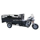 Three Wheel Tricycle with 200cc/250cc/150cc (GM150ZH-M)